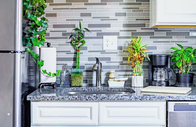 Jungle House Luxury Stays - Downtown Columbus & Short North - Foto 59