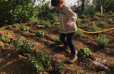 Agriturismo Fattoria Terranova - Foto 132