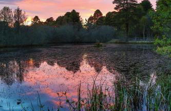 Tullochwood Lodges - Foto 43