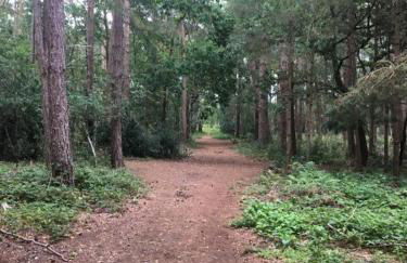 Little Banks Cabin - Foto 31