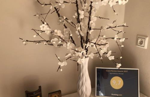 Spyridonou House - Foto 7