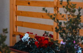 Ro agrimaison - Foto 59