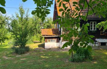 Holiday home Hižica v plavem trnacu - Foto 23