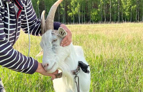 Arche Siedlisko Rogacze 72 - Foto 8