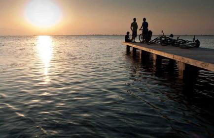 Eucaliptus - Casa en el Delta para disfrutar de la playa del Trabucador - Deltavacaciones - Foto 39