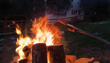 Skała i Las - Foto 5