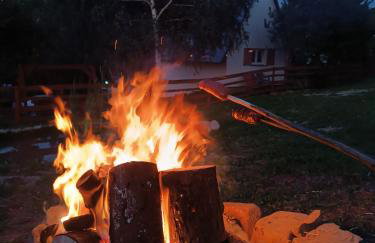 Skała i Las - Foto 5