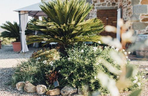 Podere Biricocolo - Il Cortile - Foto 44