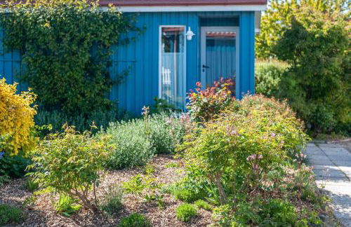 Möve Aba Bungalow 61 - Foto 17