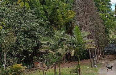 Estúdio Raiz da Mata - Foto 8