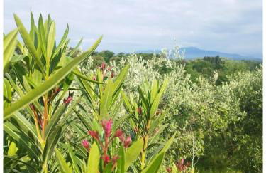 Serendipity - Foto 24