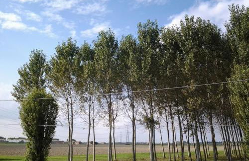 Agriturismo Cà Vendramin - Foto 20