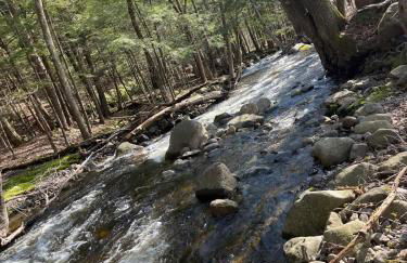 Twin Pines Lake resort 2 - Foto 12