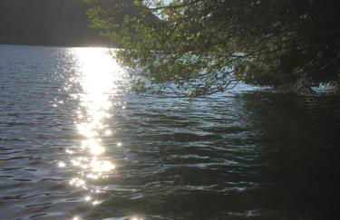 Le petit Kichon - Foto 18