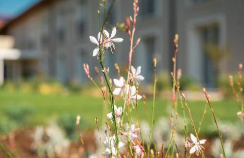 Agriturismo Maria Vittoria - Foto 126