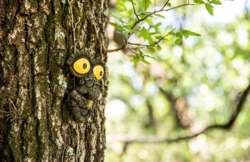 Hobbit Treehouse with waterfall on the Brazos River! 350 acres! Tubing! Petting zoo! - Foto 37