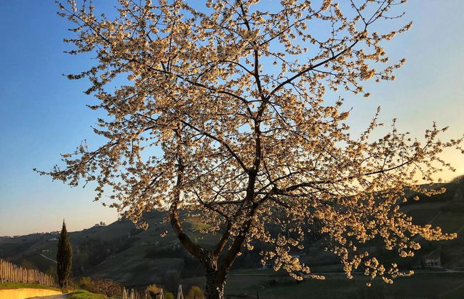 Villa Garassino - Foto 52