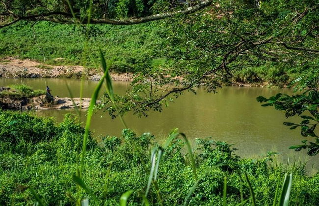 Riverine Cascade - Foto 26