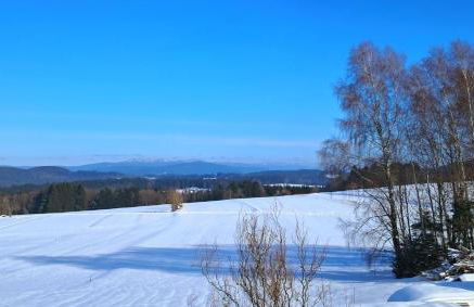 Haus Probst - Foto 15