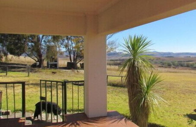 Pumula Guest Farm - Foto 63