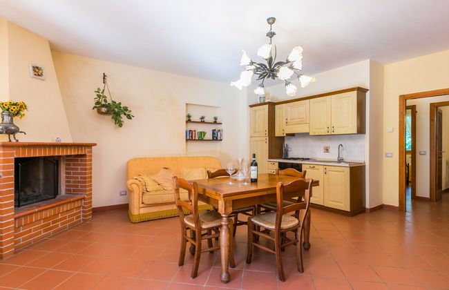 Rosa+Margherita+Lavanda+Ginestra+Gelsomi - Foto 12