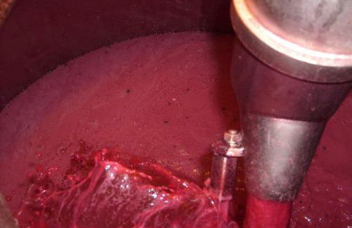 La Giribaldina Winery & Farmhouse - Foto 30