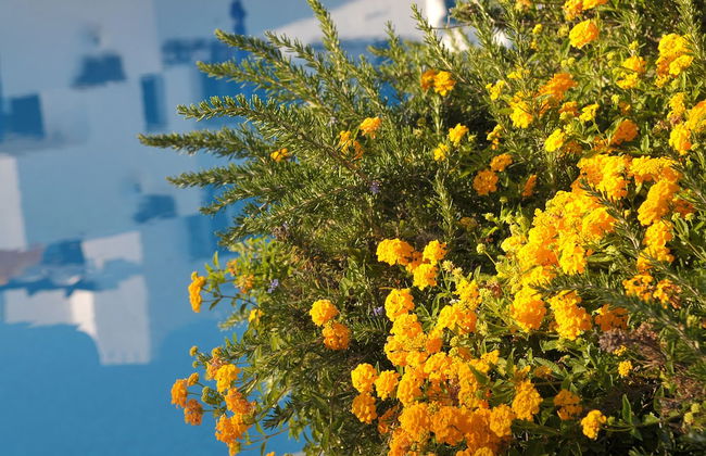 Balaia Golf Village Resort - Foto 75