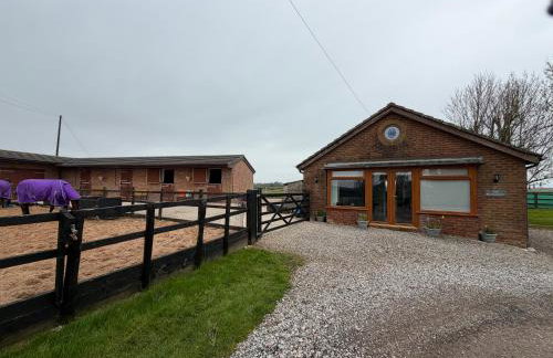 The Bungalow - Photo 10