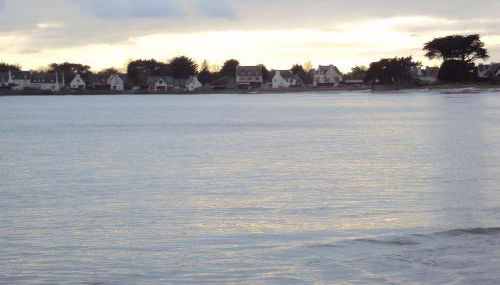 petit poisson - Foto 5