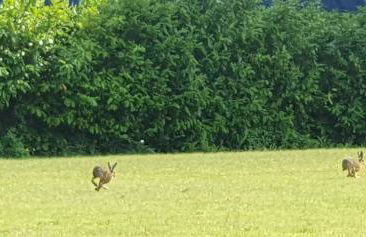 The Granary Stradbroke - Foto 43