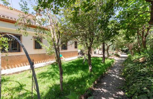 Viña Chica - Foto 69