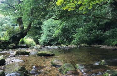 Escape To The Country @ Bron Offa Bach - Foto 36