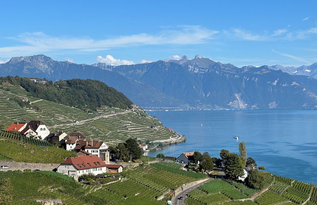 domaine du deven - Foto 57