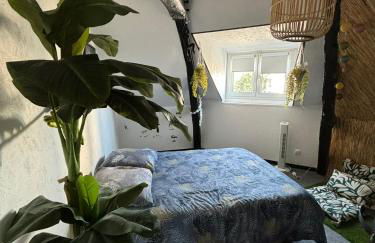 Jungle Cosy - Foto 38