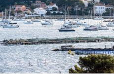 Studio avec vue mer et terrasse - Foto 13