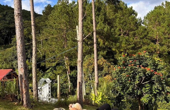 Scent House - Village - Foto 34