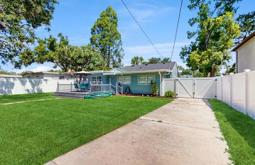 The Blue Bird - Foto 20