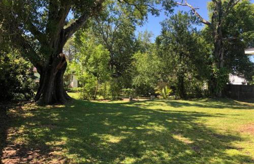 Duval Den |3BR & Backyard|15 Mins to Downtown JAX - Photo 16