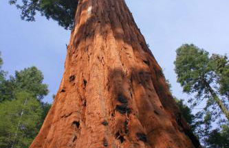 Amazing Oceanview 2 bedroom Oceanfront! by OceanviewHotTubs Shelter Cove, CA Tesla EV Station - Foto 49