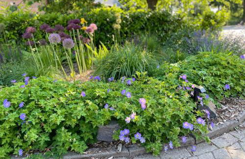 Weberhof - Münster 6 - Foto 65