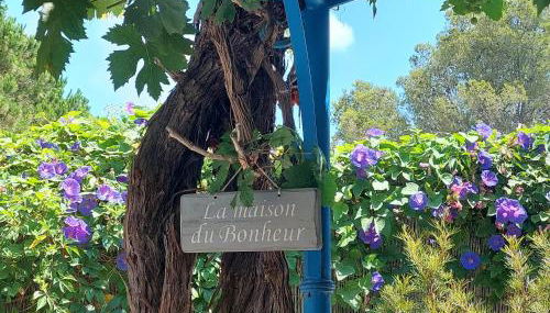 Bormes les Mimosas, Hameau de Cabasson, à 400m de la mer et du fort de Bregançon, Villa classée 3 étoiles, de 2 à 8 personnes - Foto 3