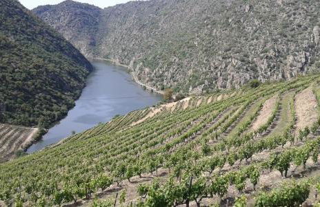 Vistadouro - Foto 52