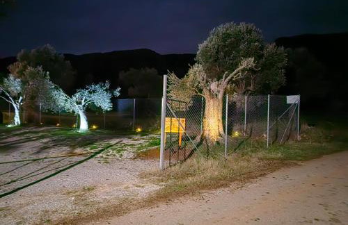 Villa Maximos - Foto 37