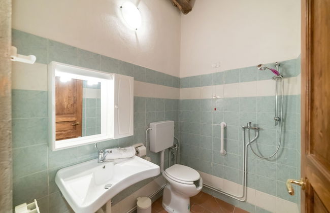 Fattoria di Cintoia - Photo 42