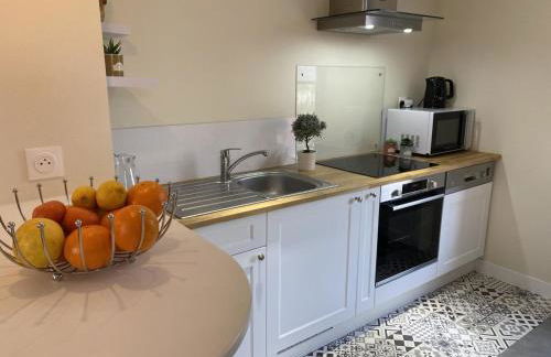 Charmante maison avec jardin en face du parc, proche commerces et attractions touristiques - FR-1-489-333 - Foto 15