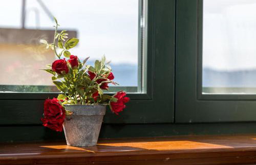 Apartment Zvonimir - Photo 28