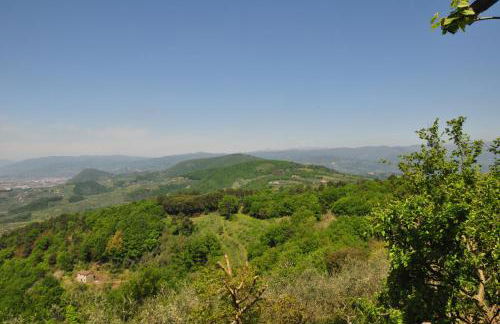 Podere Calistri - Foto 35