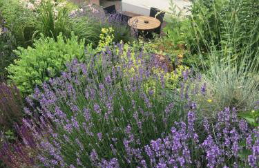 Ernst-Ludwig-Promenade - Foto 12