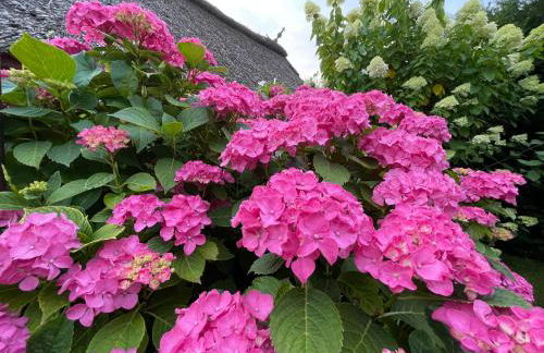 Bielenberg 37 - Foto 43