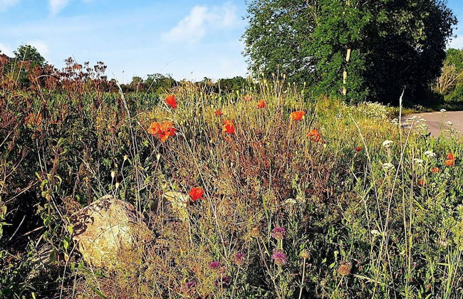 4 Person Holiday Home in Kopingsvik-by Traum - Foto 15